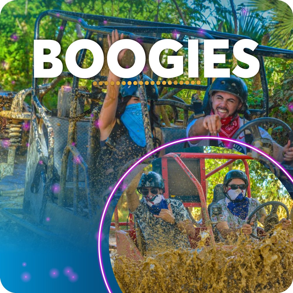 Buggies
