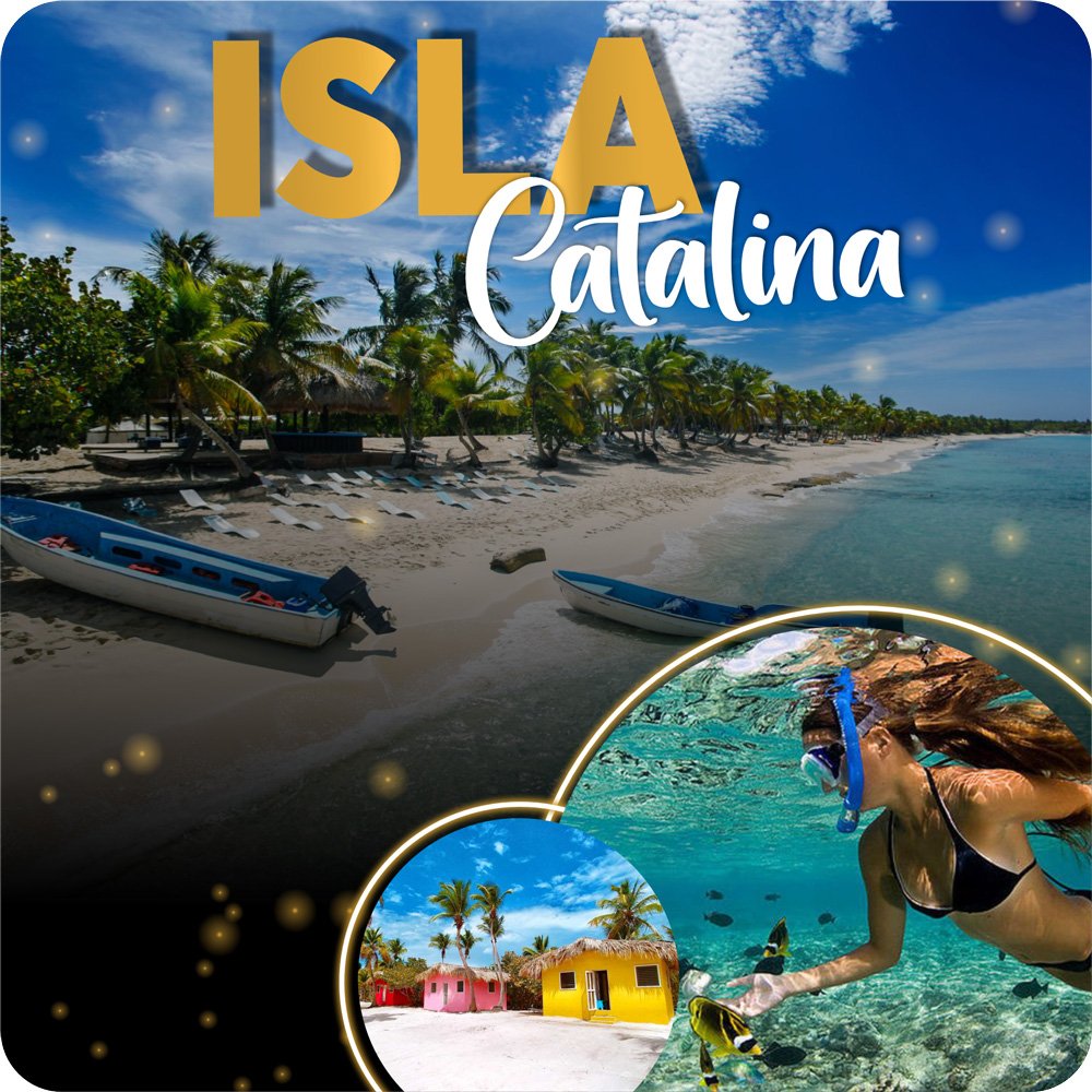 Excursión a Isla Catalina