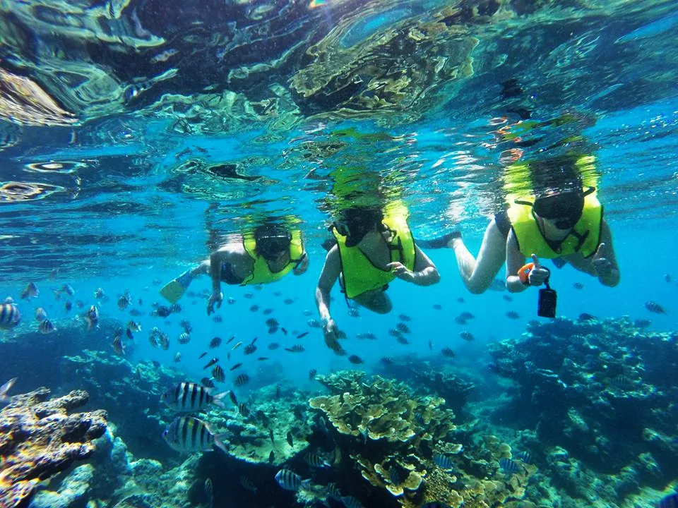 Snorkeling en Isla Catalina - Imagen 10