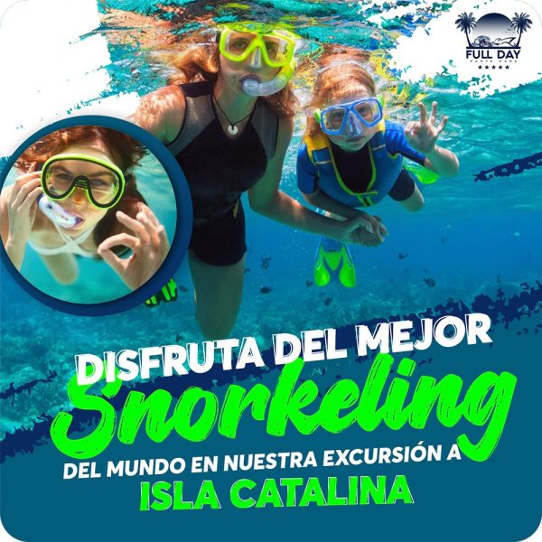 Snorkeling en Isla Catalina