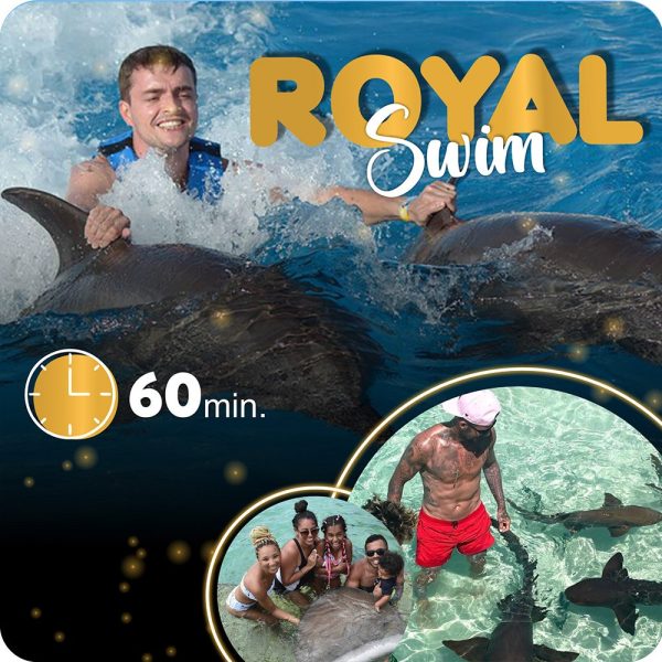 Royal Swim Oceano
