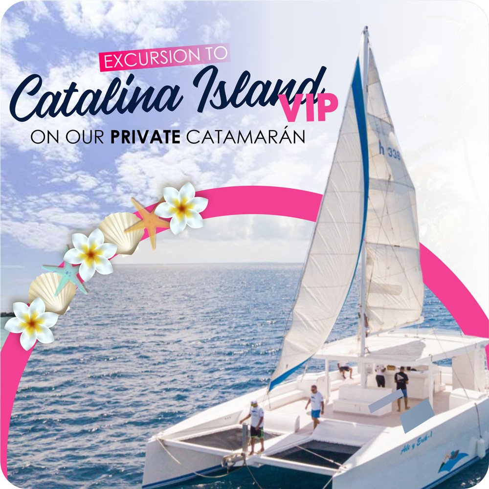 Isla Catalina VIP en Catamaran Privado (Para Grupos)