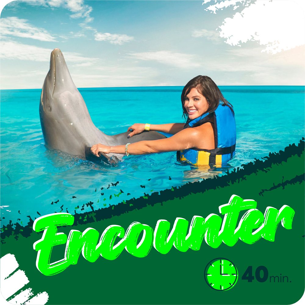 Encounter