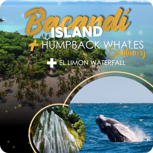 BALLENAS con Cascada Salto del Limon + Cayo Levantado