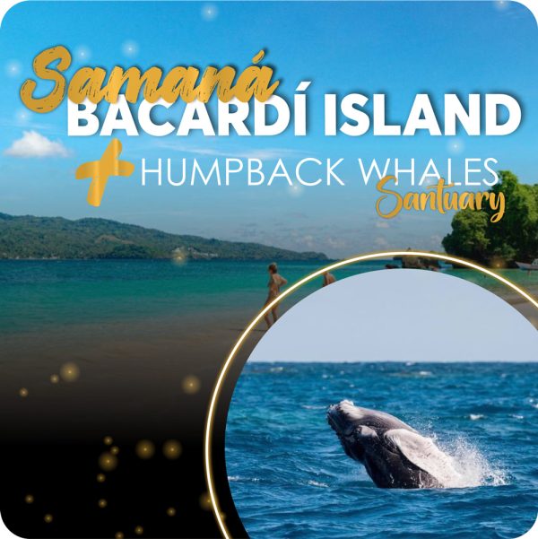 BALLENAS + Cayo Levantado