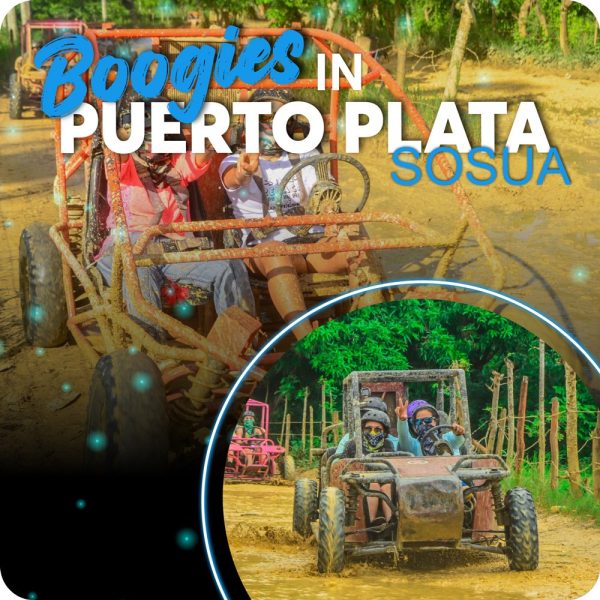 Boogies in Puerto Plata