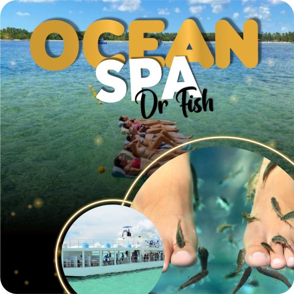 Ocean Spa Dr Fish