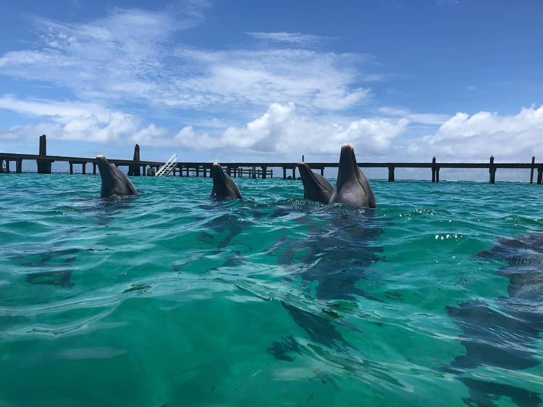 Encounter Oceano - Imagen 30