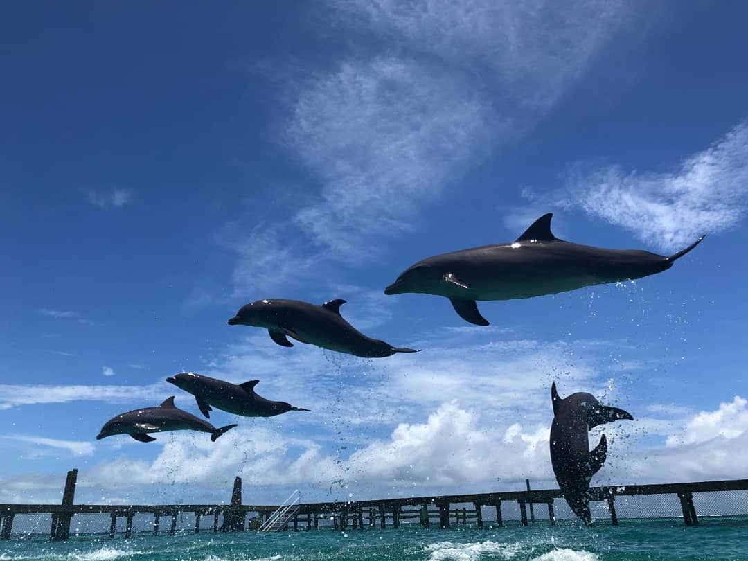 Encounter Oceano - Imagen 29