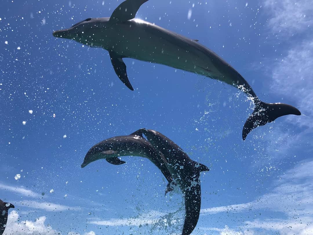 Encounter Oceano - Imagen 24