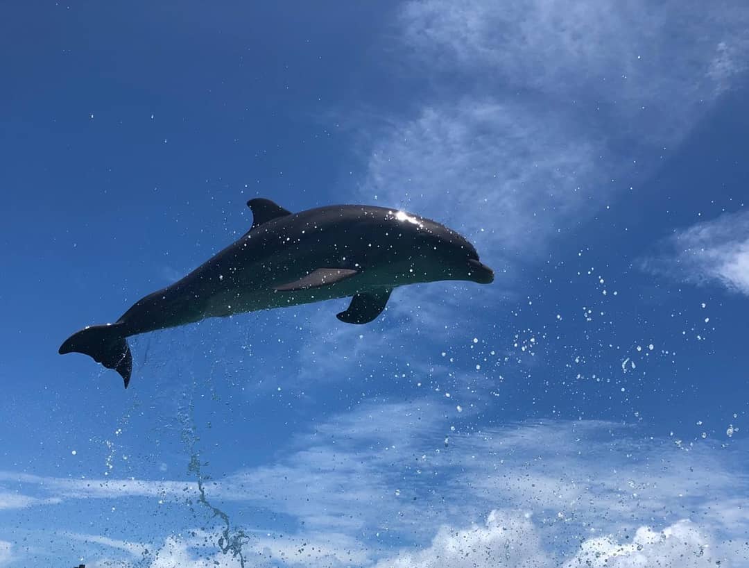 Encounter Oceano - Imagen 22