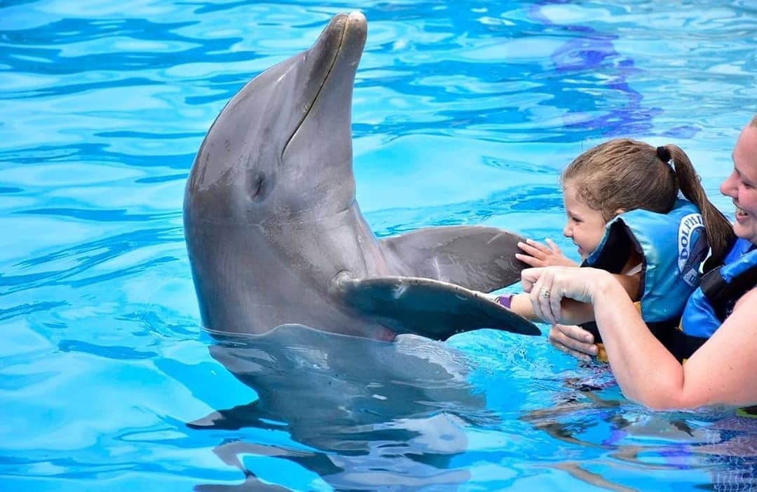 Encounter Oceano - Imagen 21