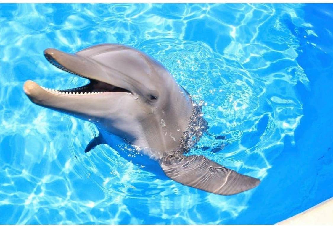 Encounter Oceano - Imagen 20