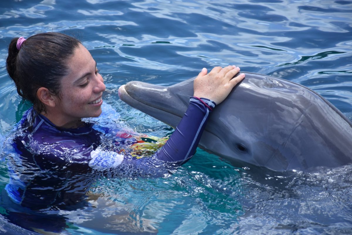 Encounter Oceano - Imagen 17
