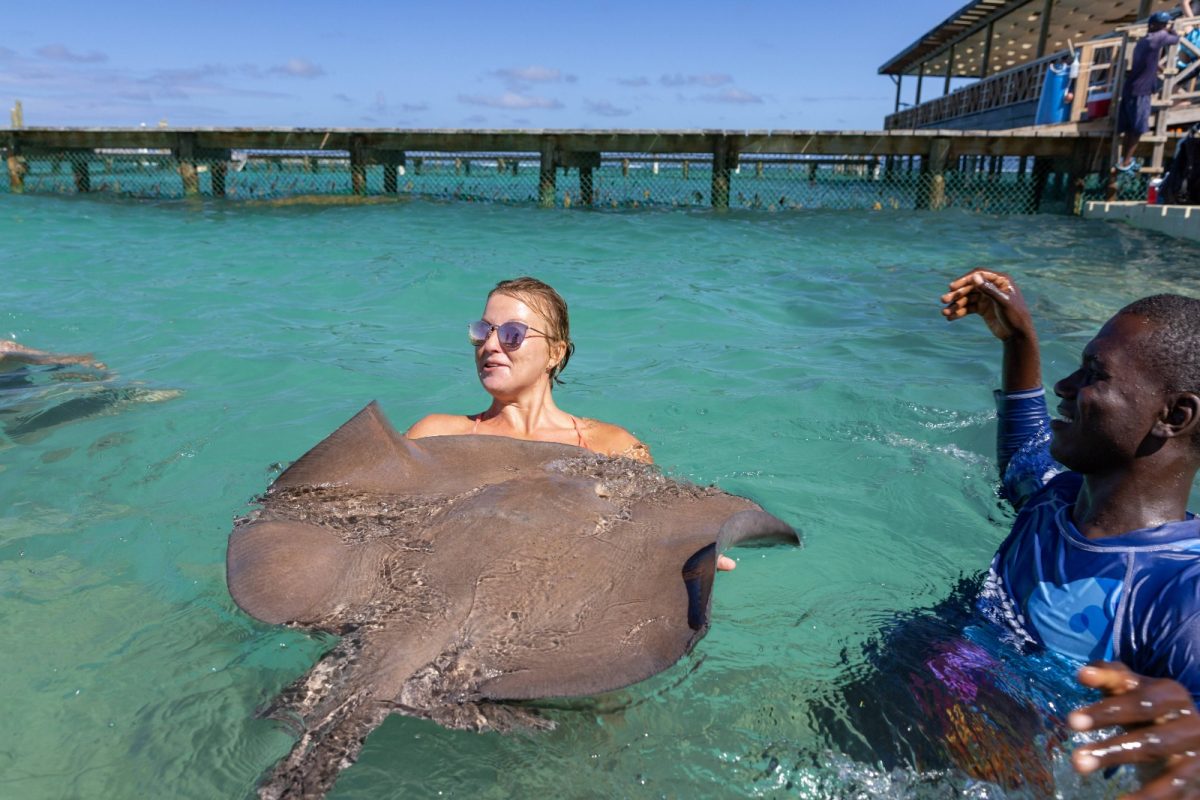 Encounter Oceano - Imagen 6