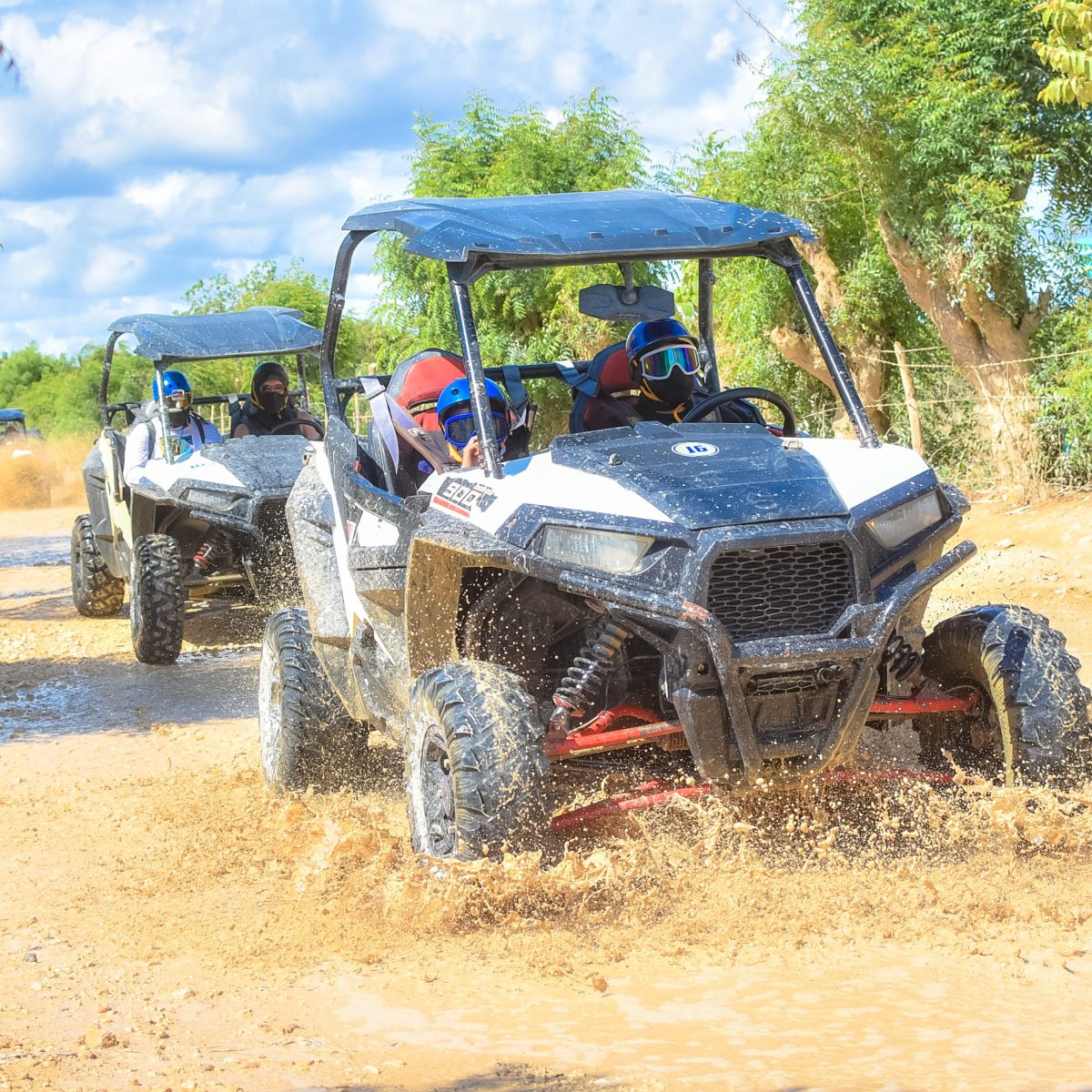 Full Day Splash Buggies + El Dorado Park - Imagen 16