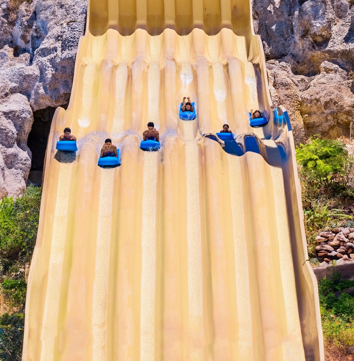 Full Day Splash Buggies + El Dorado Park - Imagen 10